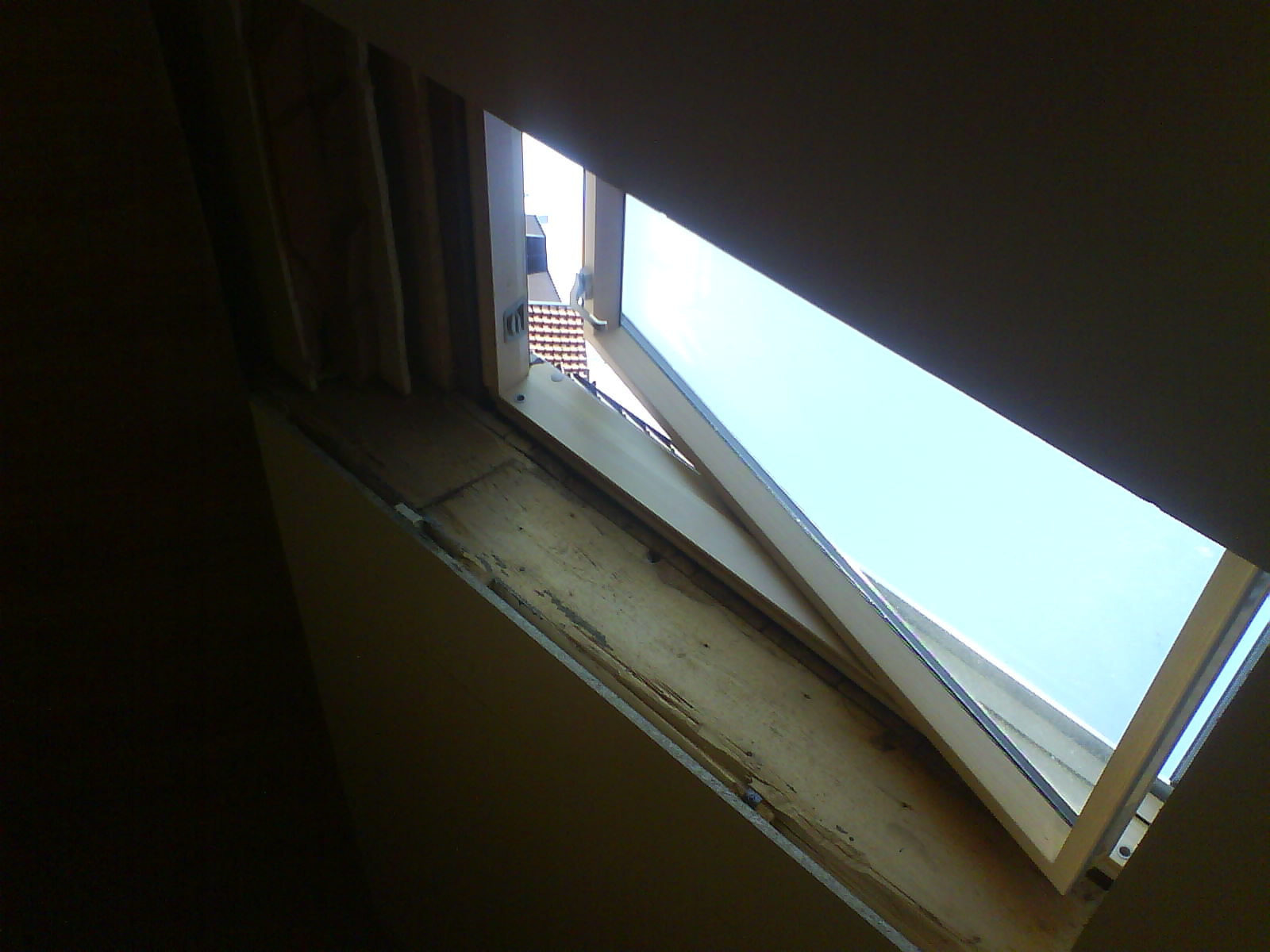DSC00390